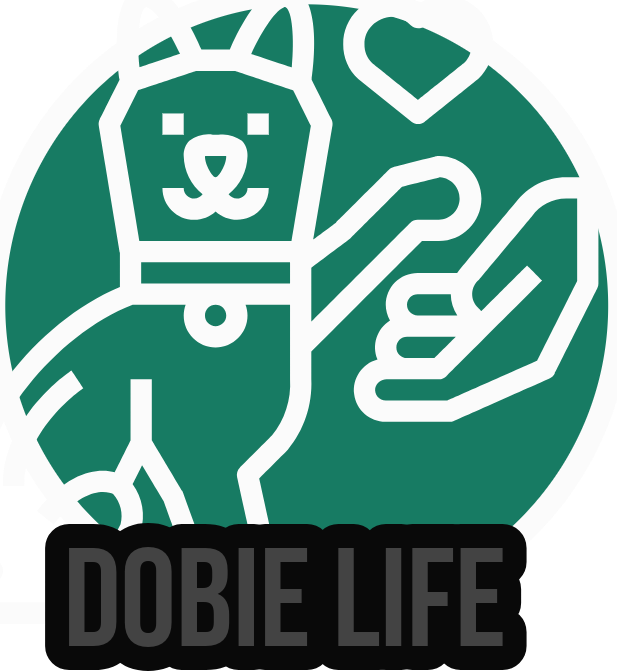 Doberman Pinscher Life